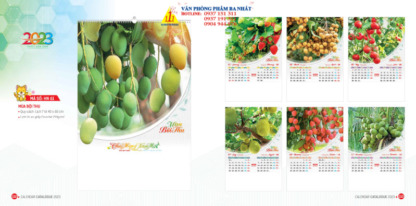 lịch treo tường, in lịch treo tường, lịch treo tường giá rẻ