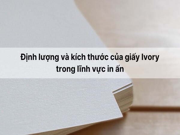 Định lượng và kích thước giấy Ivory là gì?