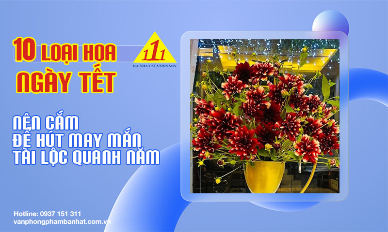 10 loai hoa ngay tet nen cam de hut may man tai loc quanh nam