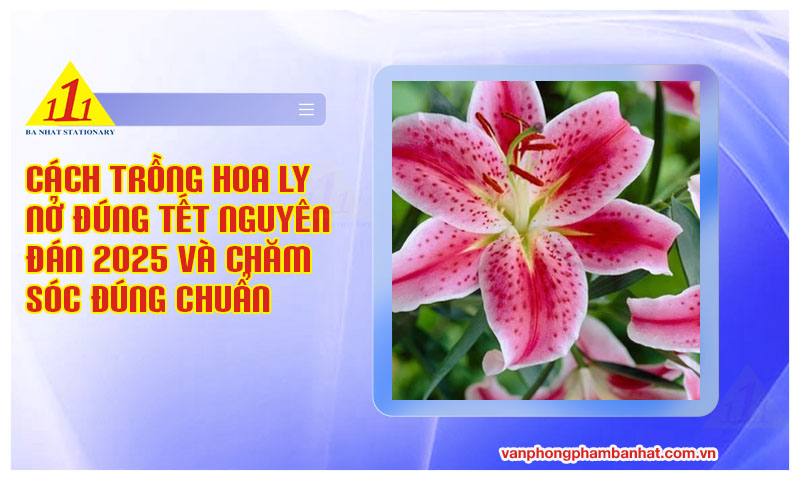 cach trong hoa ly no dung tet nguyen dan 2025 va cham soc dung chuan