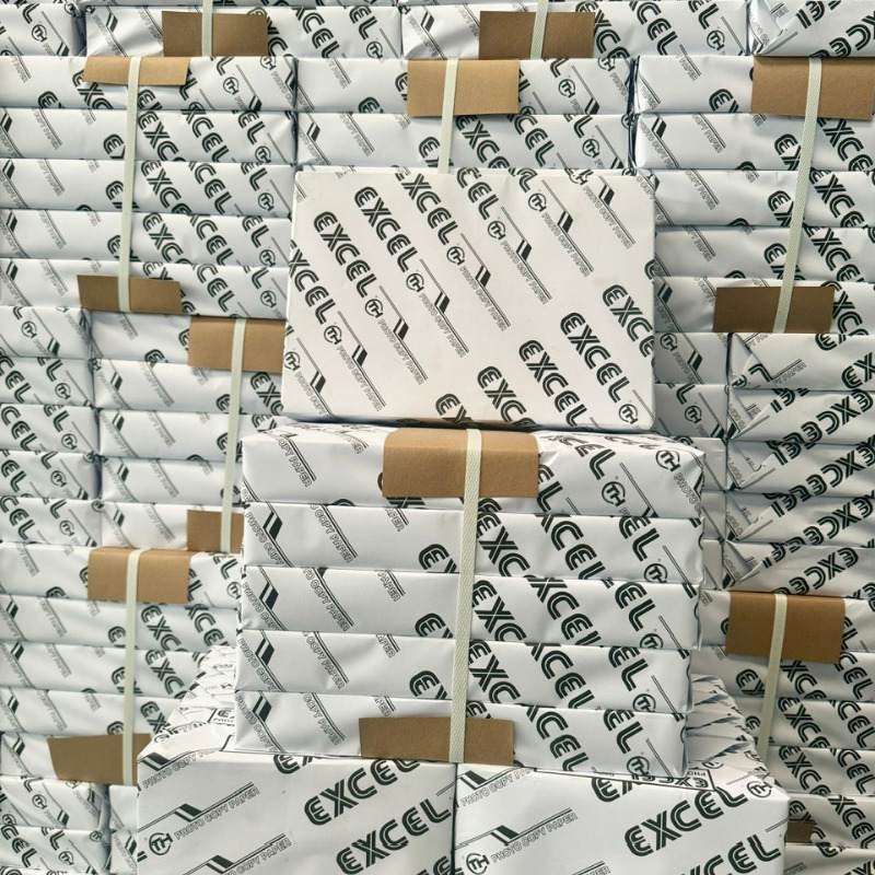 giay excell in an gia si 2026