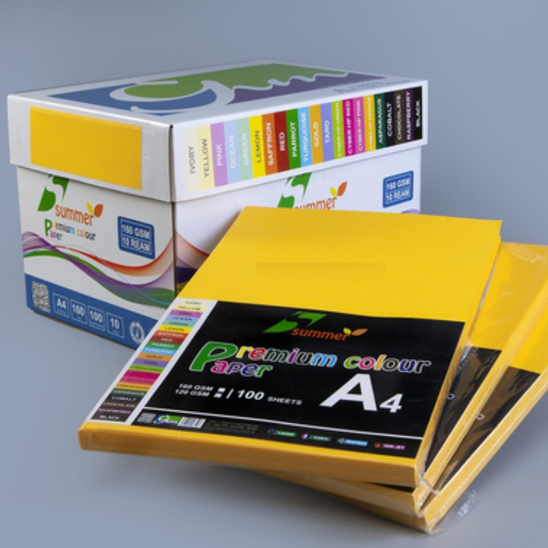 bia mau a4 cung cao cap 11