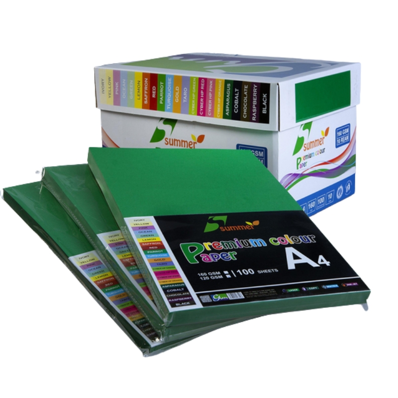 bia mau a4 cung cao cap09